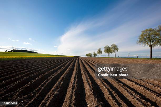 resorte de coutryside - grooved fotografías e imágenes de stock