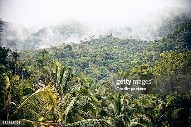 jungle mountains - jamaican culture stock pictures, royalty-free photos & images