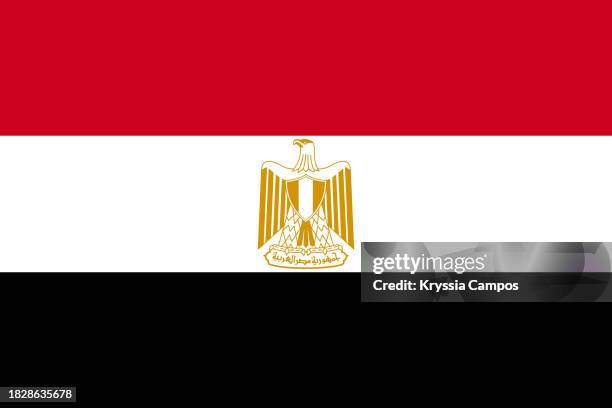 flag of egypt - egito imagens e fotografias de stock