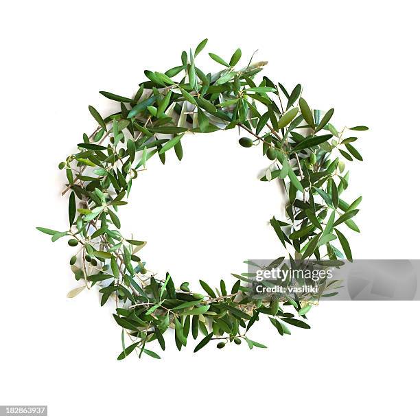 olive tree branch wreath - olive fruit stock pictures, royalty-free photos & images