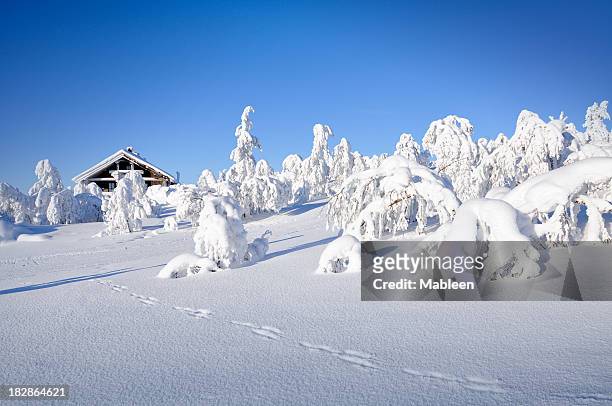 winter, hut and tracks in snow covered landscape - swedish lapland bildbanksfoton och bilder