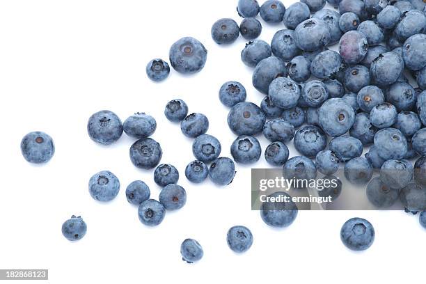 blueberries scattered on white background - blåbär bildbanksfoton och bilder