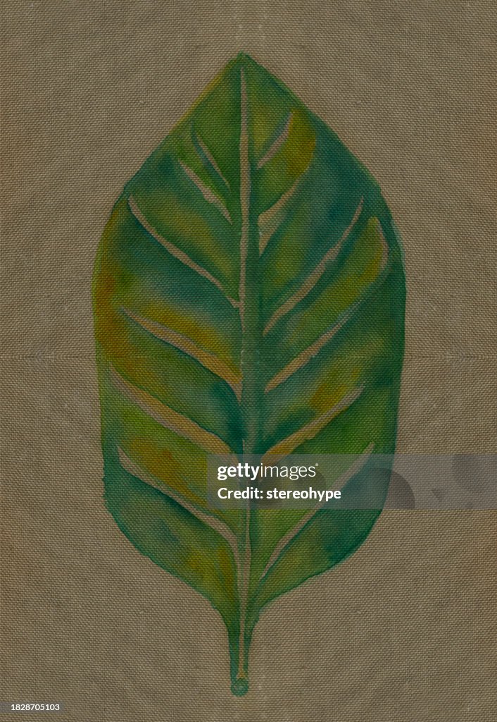 Canvas leaf