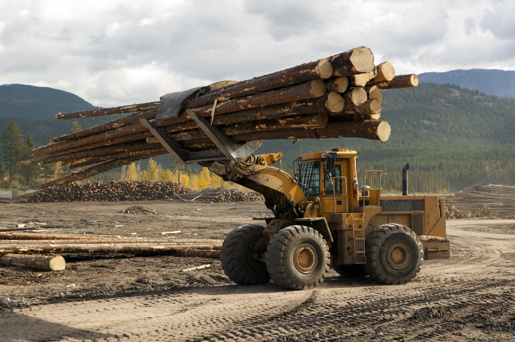 land clearing machine