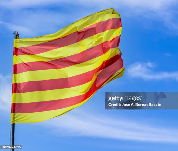 catalonia flag waving on a clean sunny blue sky. - estelada stockfoto's en -beelden