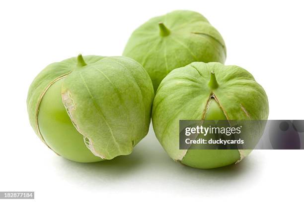 tomatillos isolado a branco - tomatillo imagens e fotografias de stock