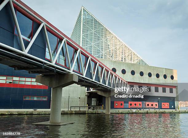 national aquarium in baltimore am inner harbor - nationales aquarium in baltimore stock-fotos und bilder