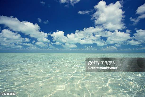 brilant seascape - ambergris caye stock pictures, royalty-free photos & images
