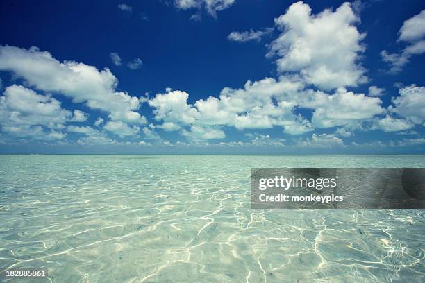 brilant seascape - ambergris caye bildbanksfoton och bilder