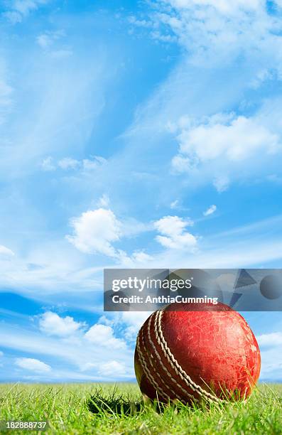 rotes leder-cricket-ball im grünen gras unter blauen himmel - cricket game fun stock-fotos und bilder