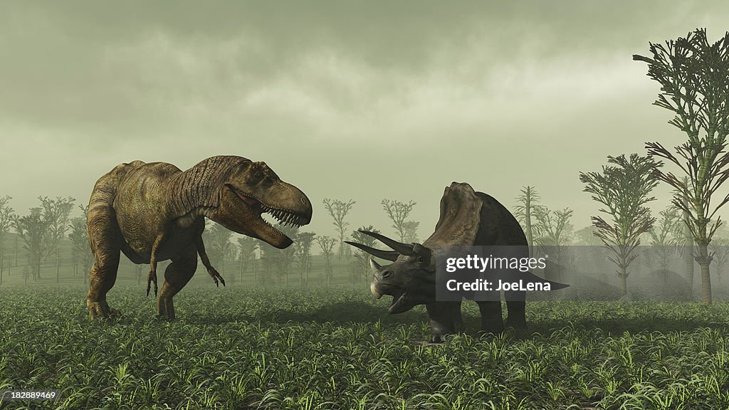 Tiranosaurio y Triceratops