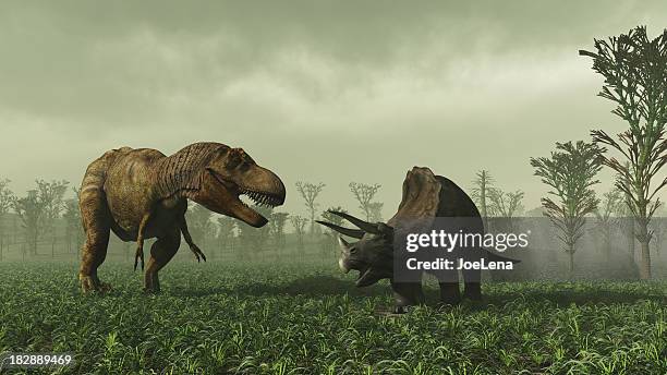 tirannosauro rex e triceratops - dinosauri foto e immagini stock