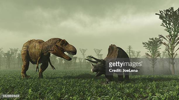 tiranossauro rex e triceratops - dinossauro imagens e fotografias de stock