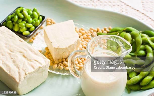 soy milk and soybean products arranged on an aqua tray - 大豆 個照片及圖片檔