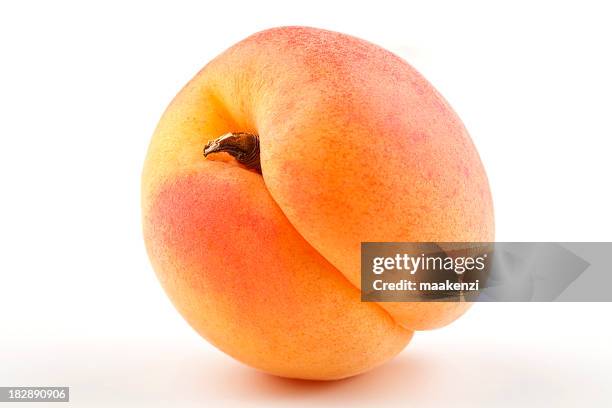 close up image of fresh apricot on white background - aprikos bildbanksfoton och bilder