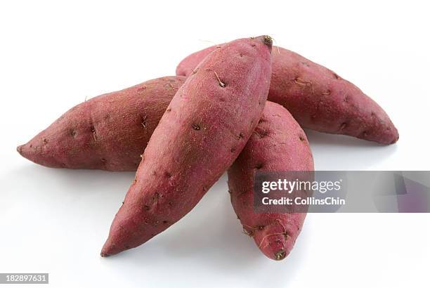 fresh red sweet potatoes - zoete aardappel stockfoto's en -beelden
