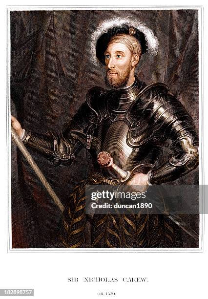 sir nicholas carew - 16th century style stock illustrations stock illustrations