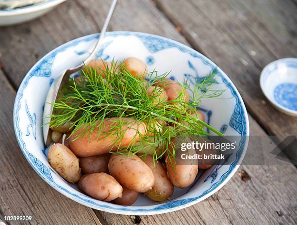 boiled new potatoes with dill served on a rustic plank. - gekookte aardappel stockfoto's en -beelden