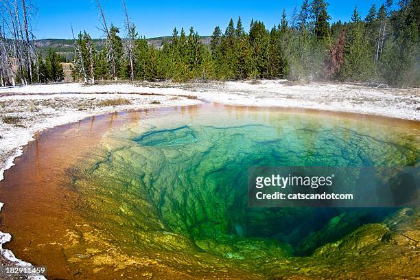 morning glory prismatic hot-spring - grand prismatic spring stock pictures, royalty-free photos & images