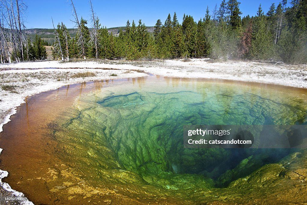 Morning Glory Prismatic hot-spring