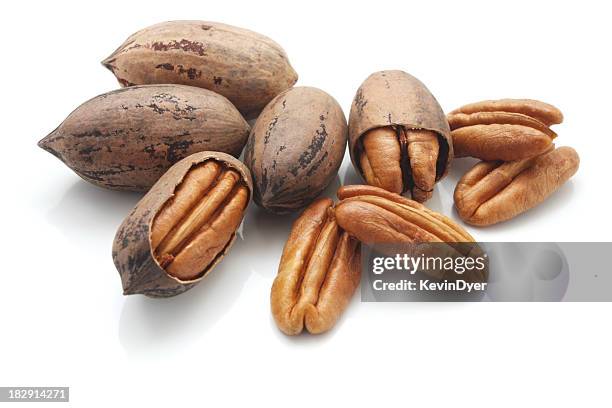 a group of pecan nuts on a white background - pecan nut stock pictures, royalty-free photos & images