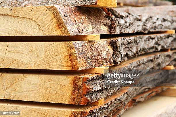 sawed chêne trunk planche de bois être perdu - écorce forêt photos et images de collection
