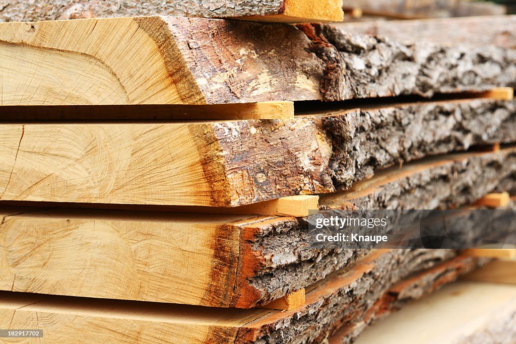 Sawed oak tree trunk plank being dried