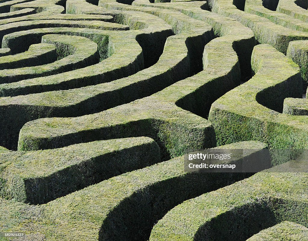 Amazing Maze