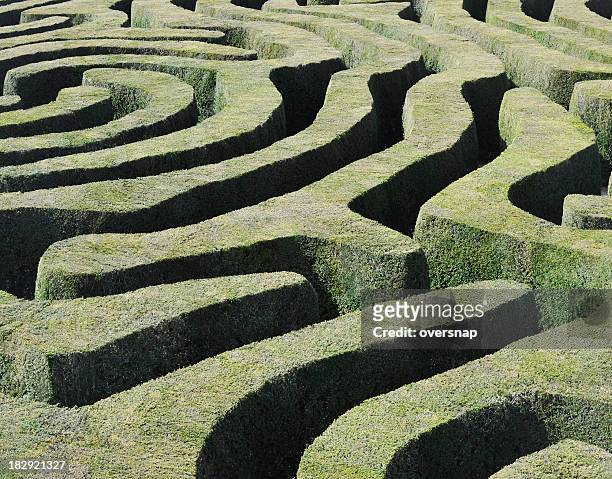 amazing maze - garden wall stock pictures, royalty-free photos & images