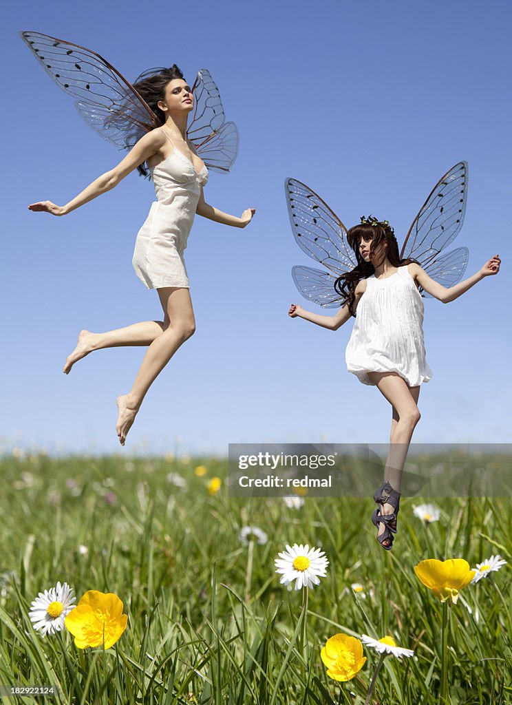 Fairies