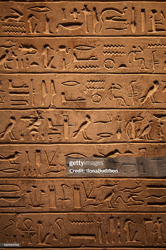 7 rows of hieroglyphics on wall