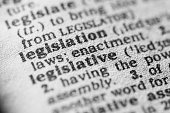 Dictionary definition of legislation in black type