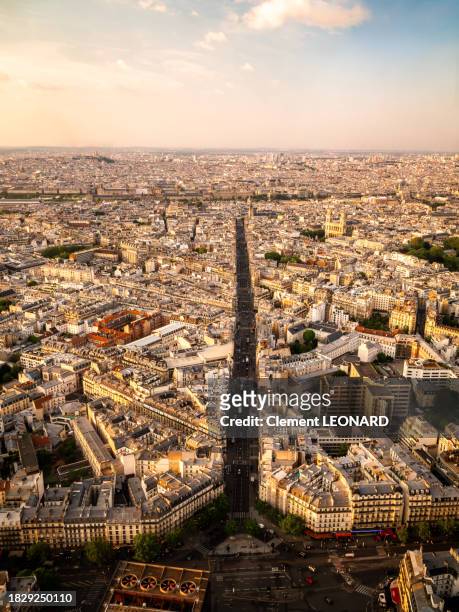 wide angle cityscape of paris in the axis of the rue de rennes at sunset, seen from above, paris, ile-de-france (ile de france), central france. - tour montparnasse stock pictures, royalty-free photos & images