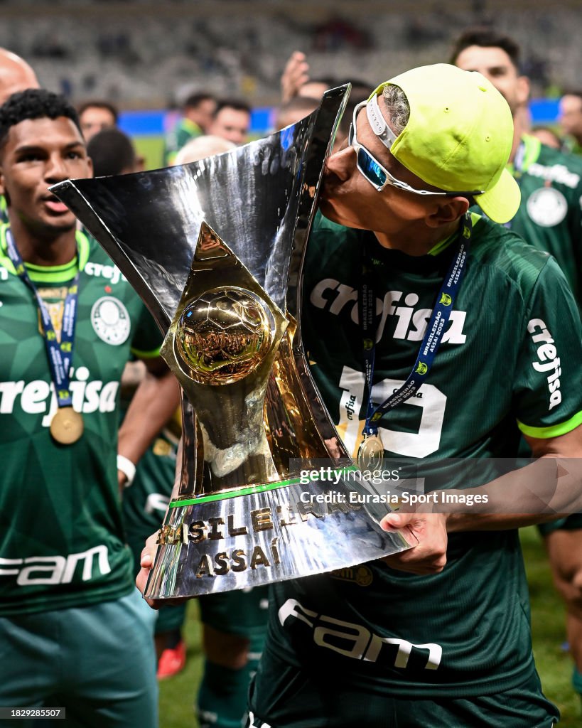 Brasileirão (Brazilian Série A) trophy  Brasileirao, Gigante palmeiras,  Futebol de rua