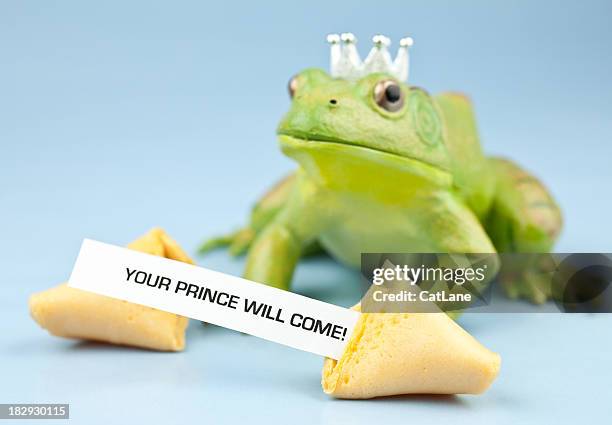 fortune series frog prince - frog prince stock pictures, royalty-free photos & images