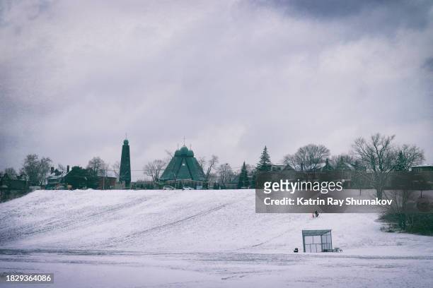 snowy riverdale park of toronto - riverdale stock pictures, royalty-free photos & images