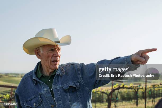 hispanic farmer pointing in vineyard - arm pointing stock pictures, royalty-free photos & images