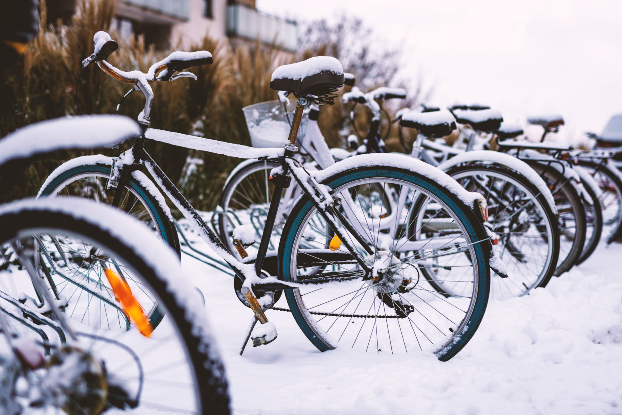 winter bike maintenance