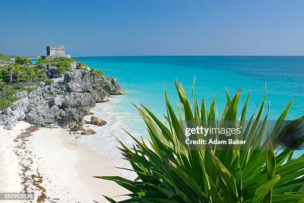 mayan ruins at the beach in tulum - cancun beautiful stock pictures, royalty-free photos & images