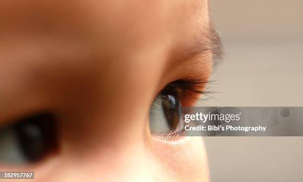 innocent eyes of a 3 year-old baby - brown eyes stock pictures, royalty-free photos & images