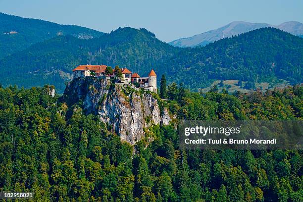 slovenia, bled, lake bled and julian alps - bled slovenia stock-fotos und bilder