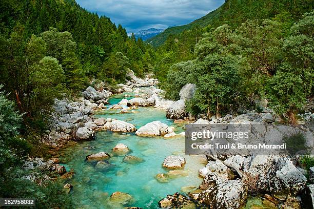 slovenia, triglav national park, soca river gorge - slovenia soca stock pictures, royalty-free photos & images