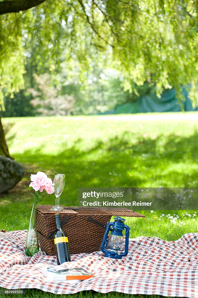 Romantic Picnic