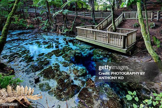 Hamurana Springs Photos and Premium High Res Pictures - Getty Images