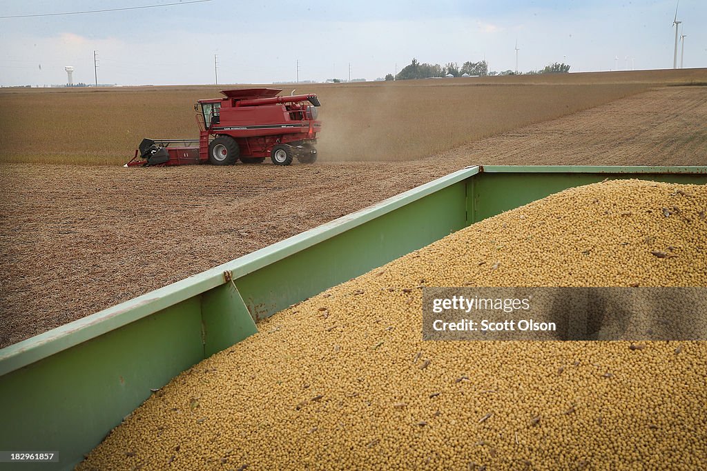 U.S. Farm Earnings Drop 14.6 Percent In Third Quarter AFter A Decline In Output
