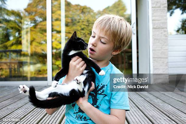 boy with pet cat - kid holding cat foto e immagini stock