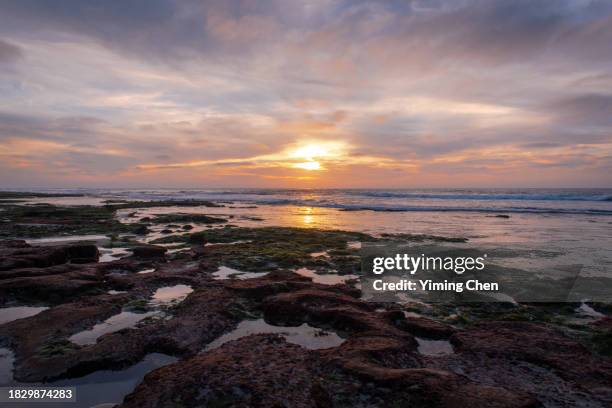 tidal pools of la jolla cove - la jolla marine reserve stock pictures, royalty-free photos & images