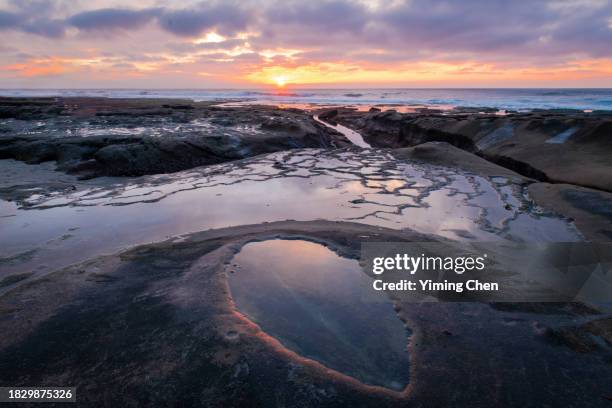 tidal pools of la jolla cove - la jolla marine reserve stock pictures, royalty-free photos & images