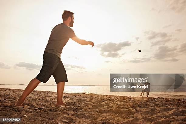 man playing on beach with dog - dogs in sand stock pictures, royalty-free photos & images