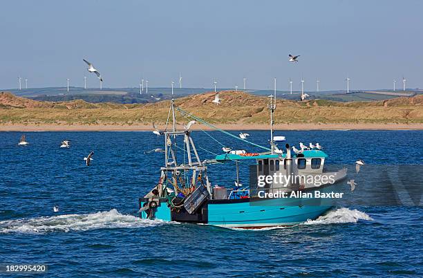 fishing boat being follwed by gulls - sustainable fishing stock pictures, royalty-free photos & images